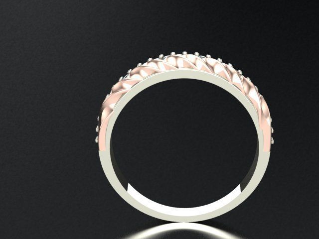 ring package 3D print model_4
