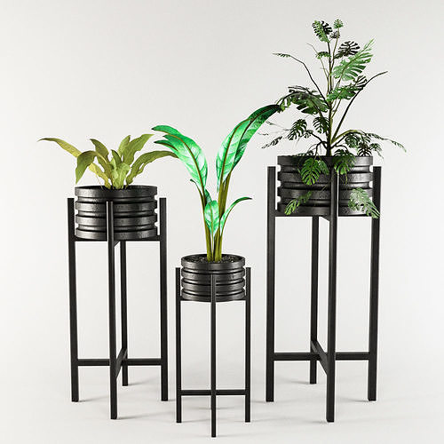 Vase Pack 1 Free low-poly 3D model