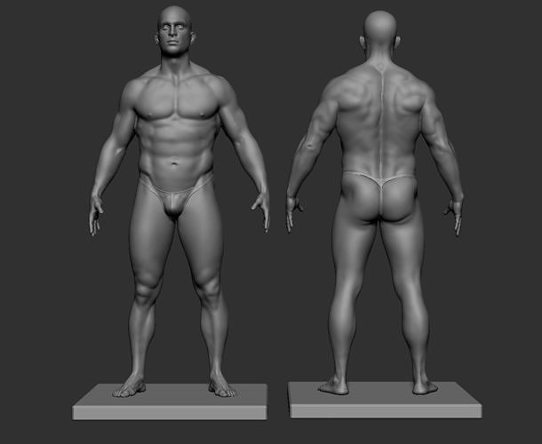 Male model reference Anatomy  3D print model