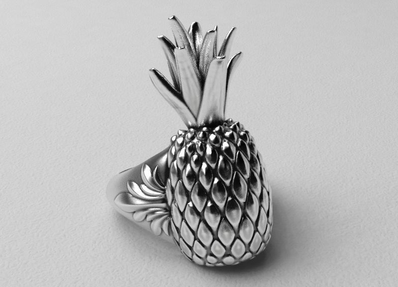 Pineapple ring 3D print model_3