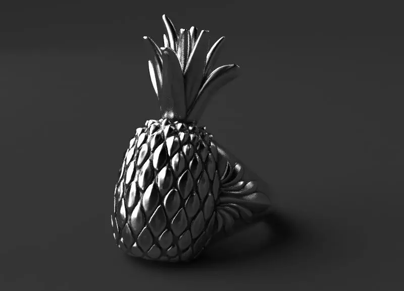 Pineapple ring 3D print model_0