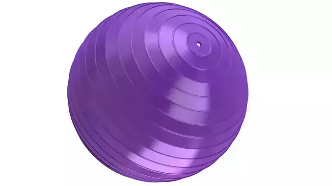 Yoga Ball Purple