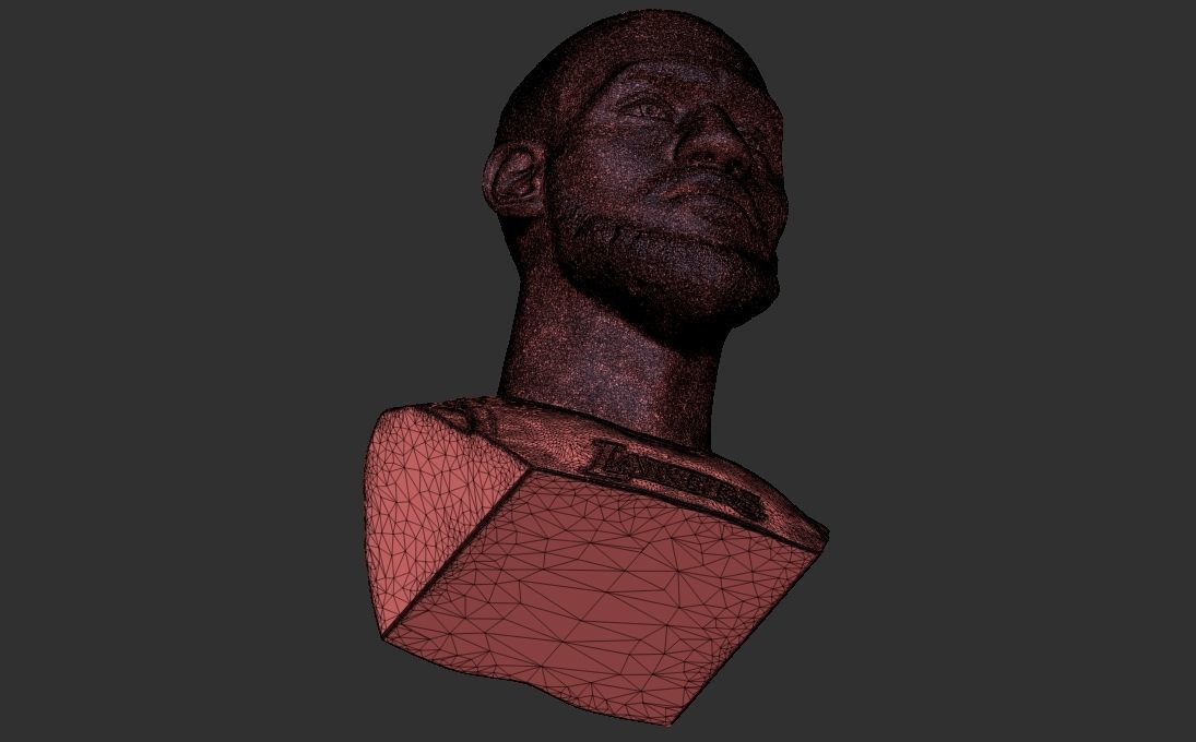 Lebron James bust for 3D printing 3D print model_32