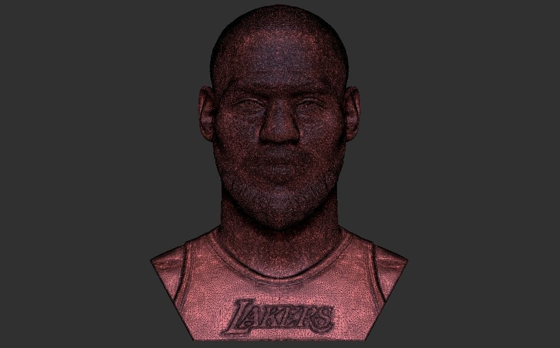 Lebron James bust for 3D printing 3D print model_28