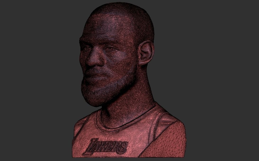 Lebron James bust for 3D printing 3D print model_29