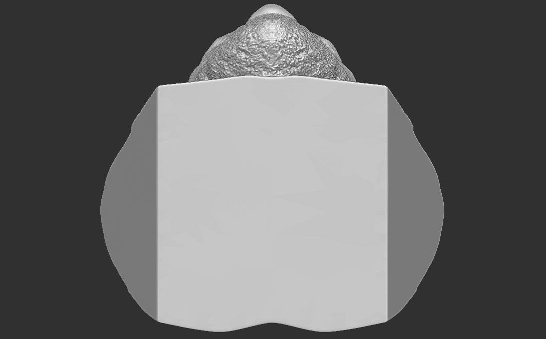 Lebron James bust for 3D printing 3D print model_27