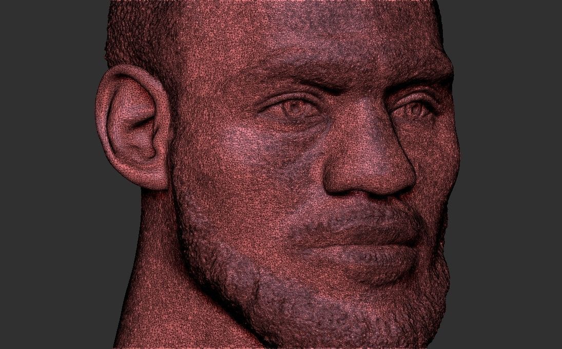 Lebron James bust for 3D printing 3D print model_31