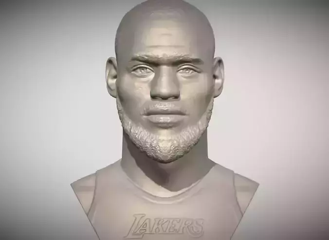 Lebron James bust for 3D printing 3D print model