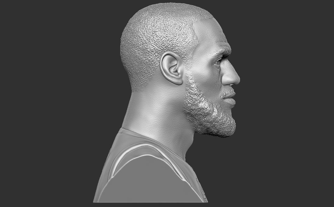 Lebron James bust for 3D printing 3D print model_13