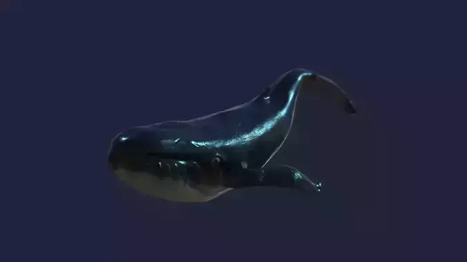 Blue whale