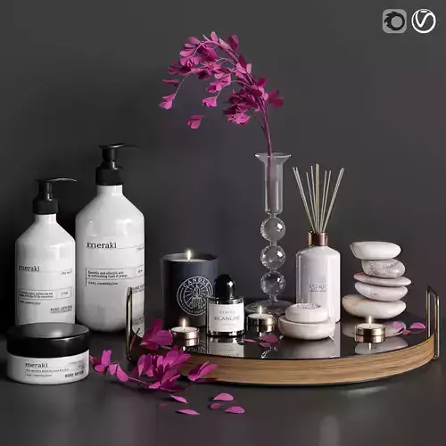 Decor Set for Bathroom 08