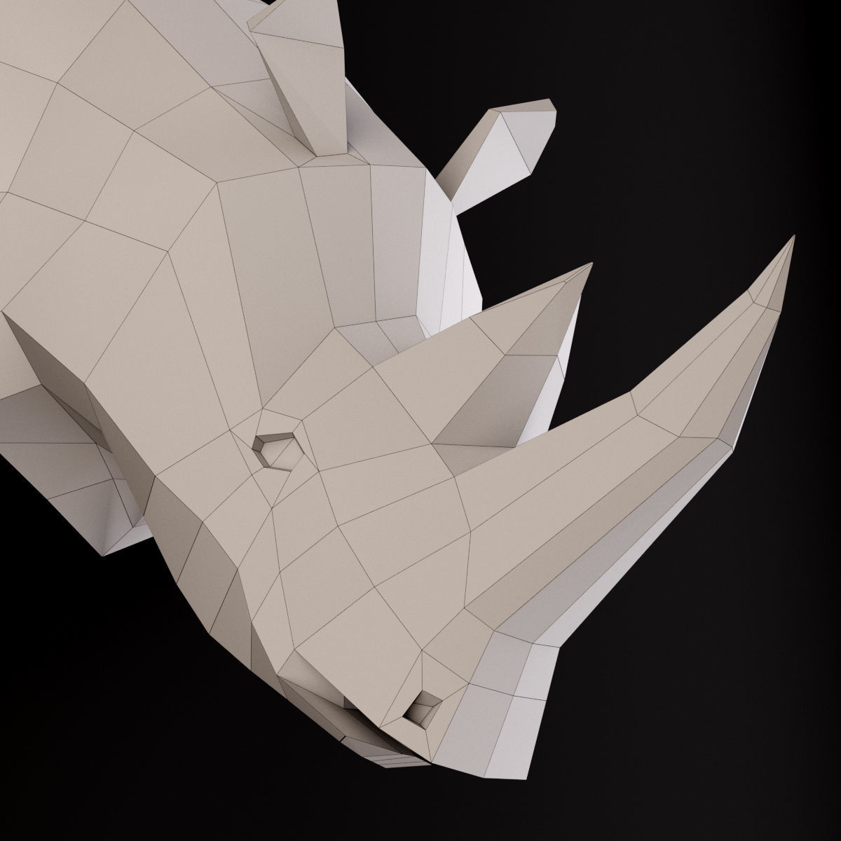 Rhinoceros low poly head 3D model_7