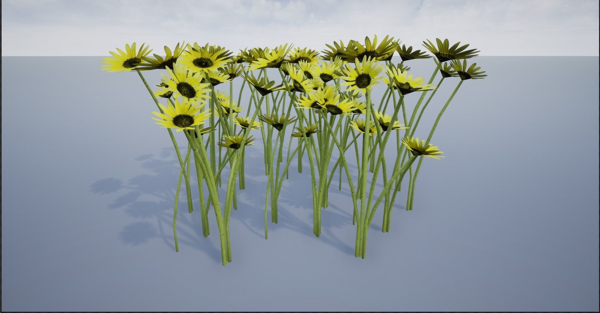 4K Cape Dandelion Flower Plant Low-poly 3D model_6