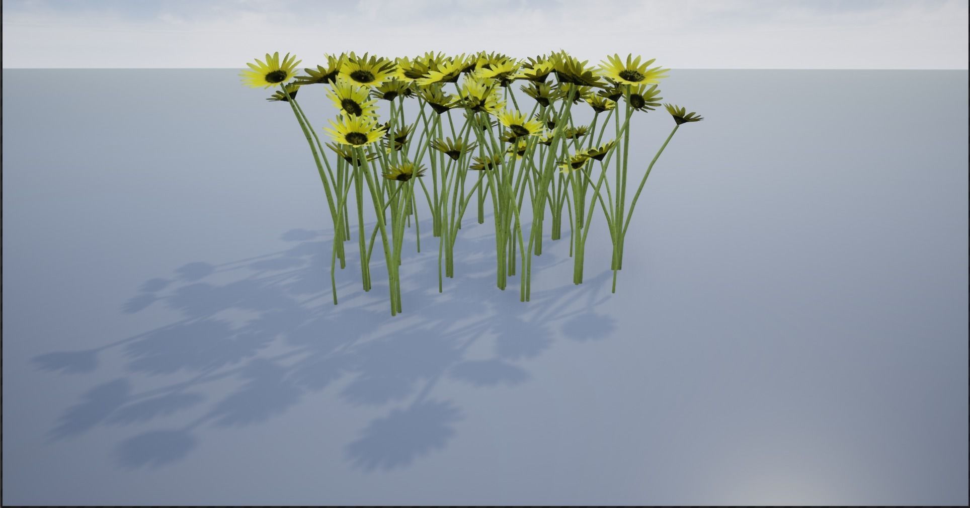 4K Cape Dandelion Flower Plant Low-poly 3D model_3