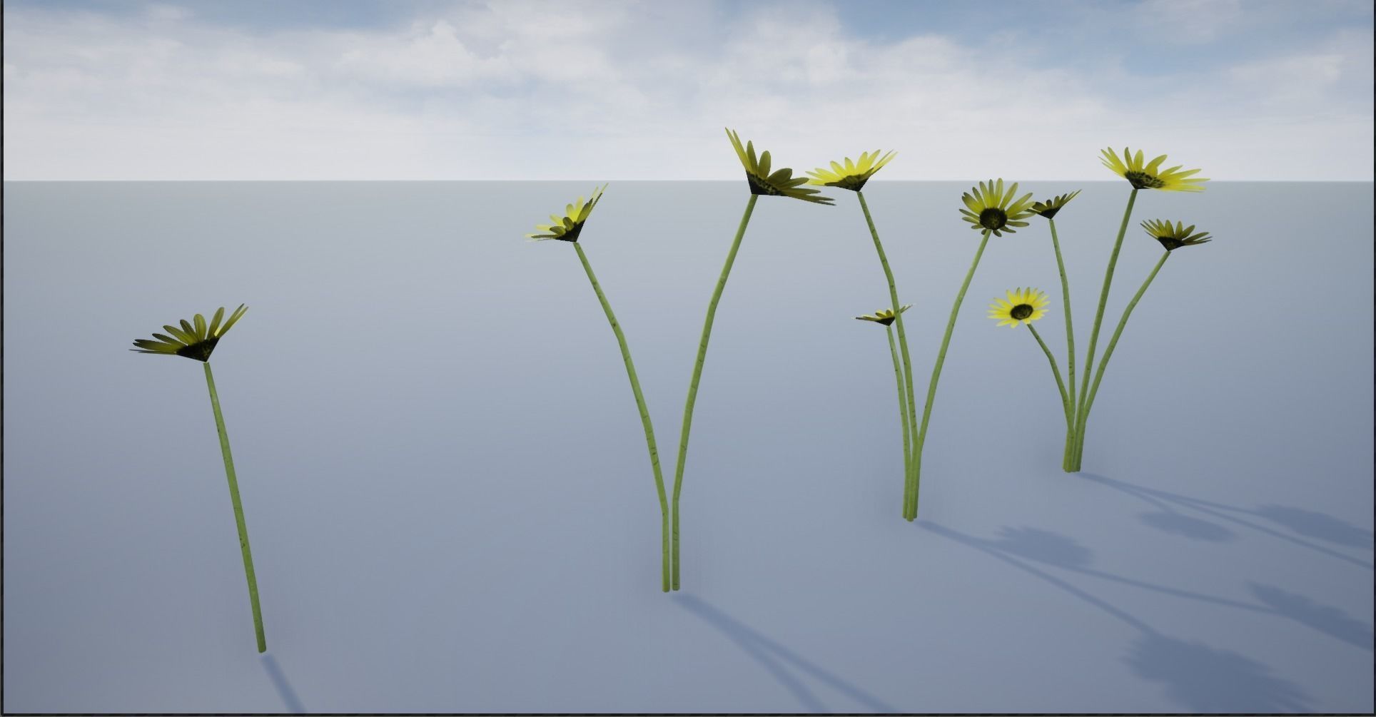 4K Cape Dandelion Flower Plant Low-poly 3D model_10