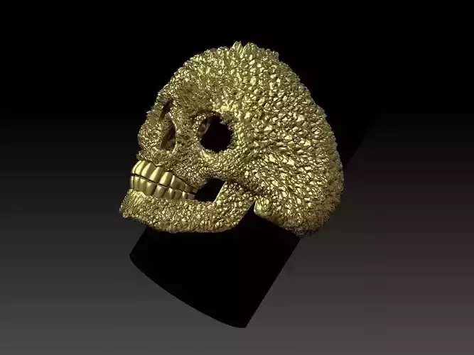 skull ring  3D print model