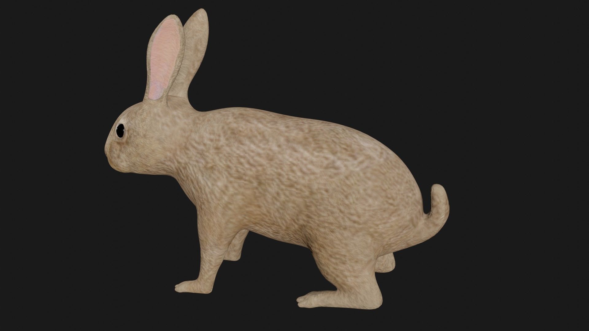 Rabbit hare bunny low poly rigged Low-poly 3D model_3