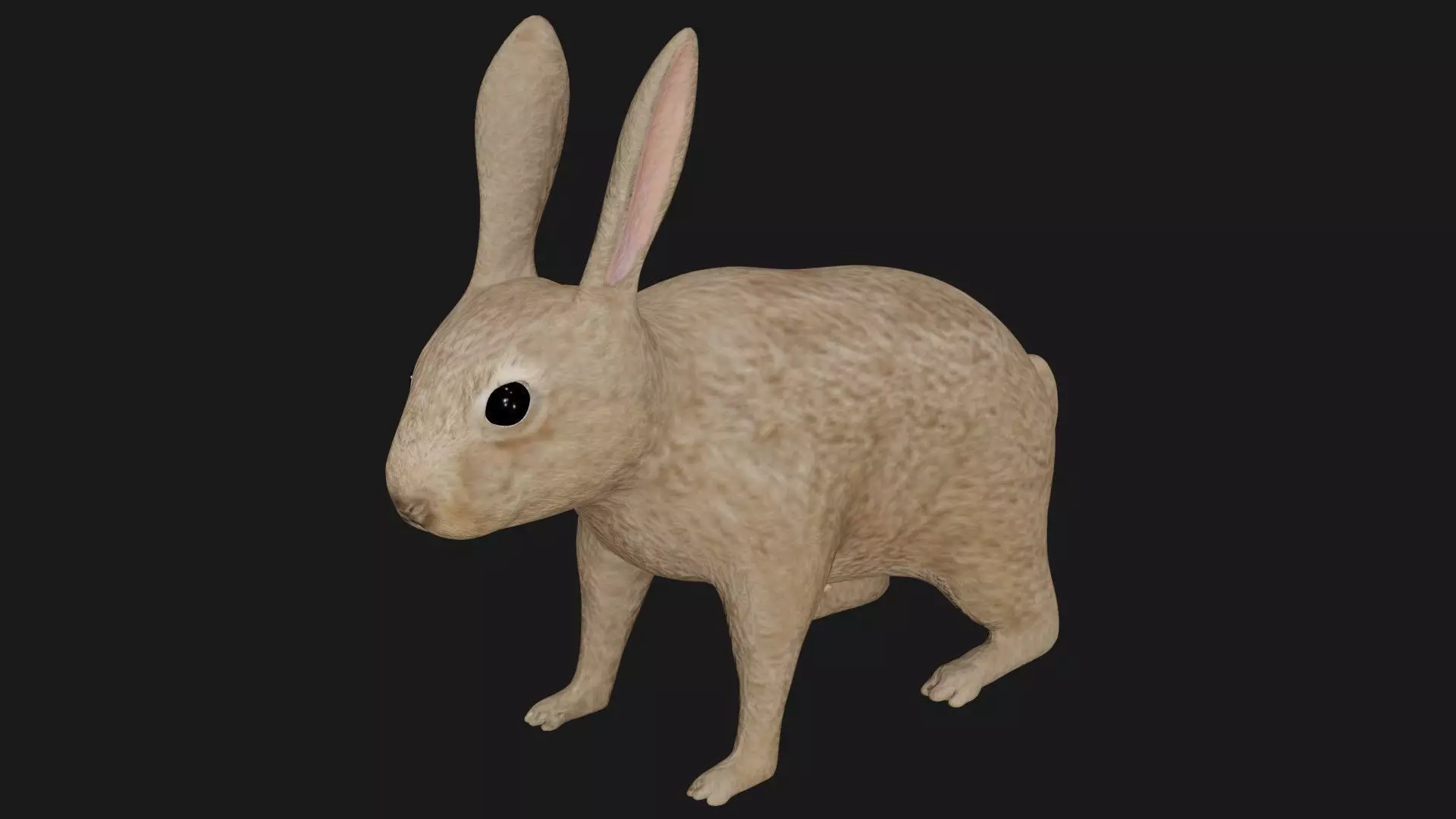 Rabbit hare bunny low poly rigged Low-poly 3D model_0