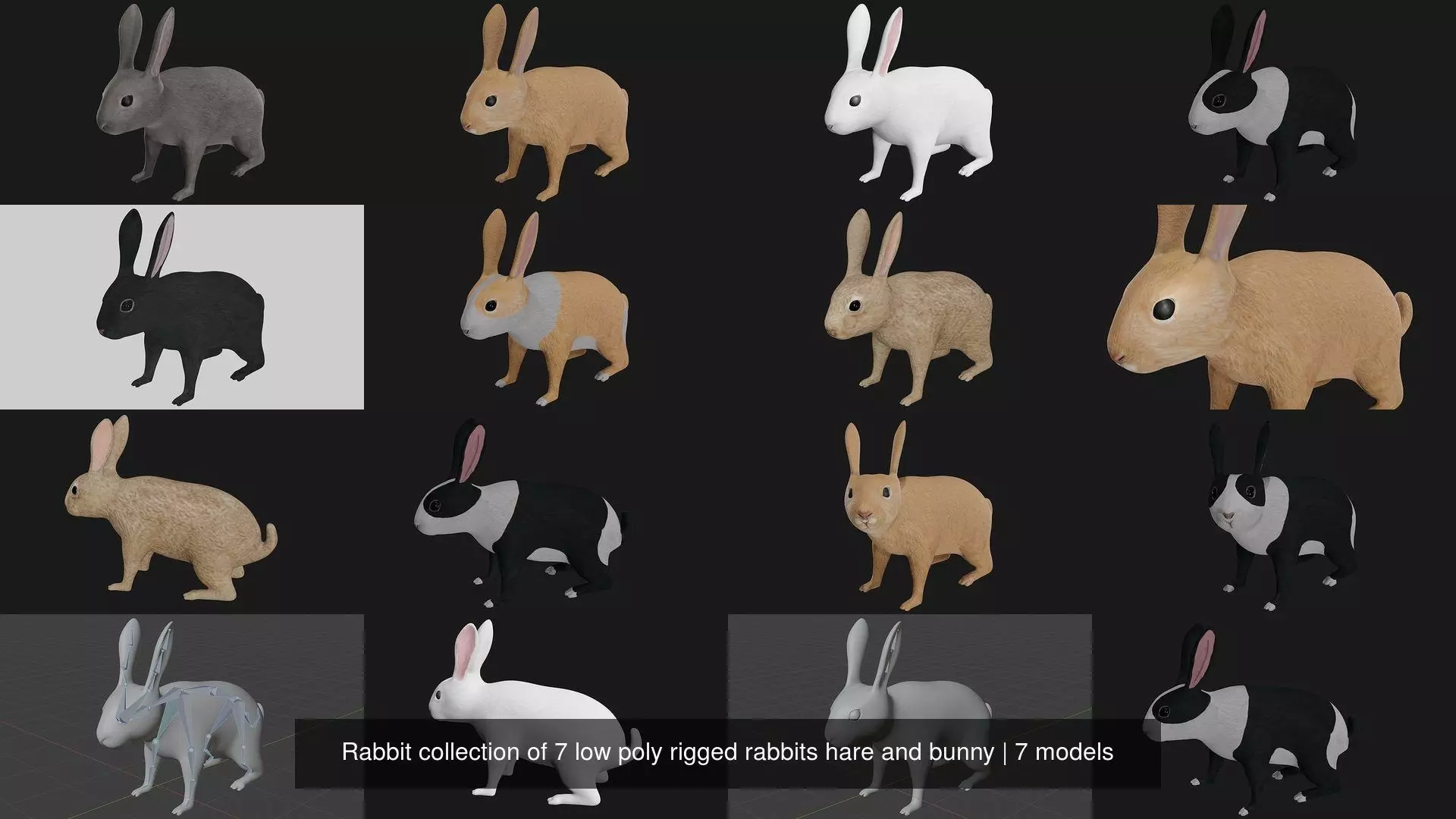 Rabbit collection of 7 low poly rigged rabbits hare and bunny _0
