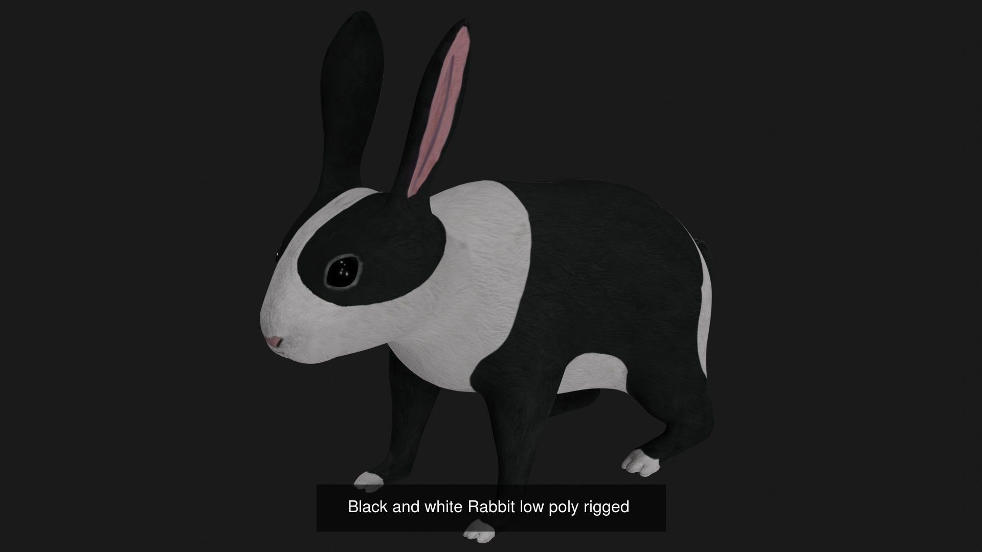 Rabbit collection of 7 low poly rigged rabbits hare and bunny _4