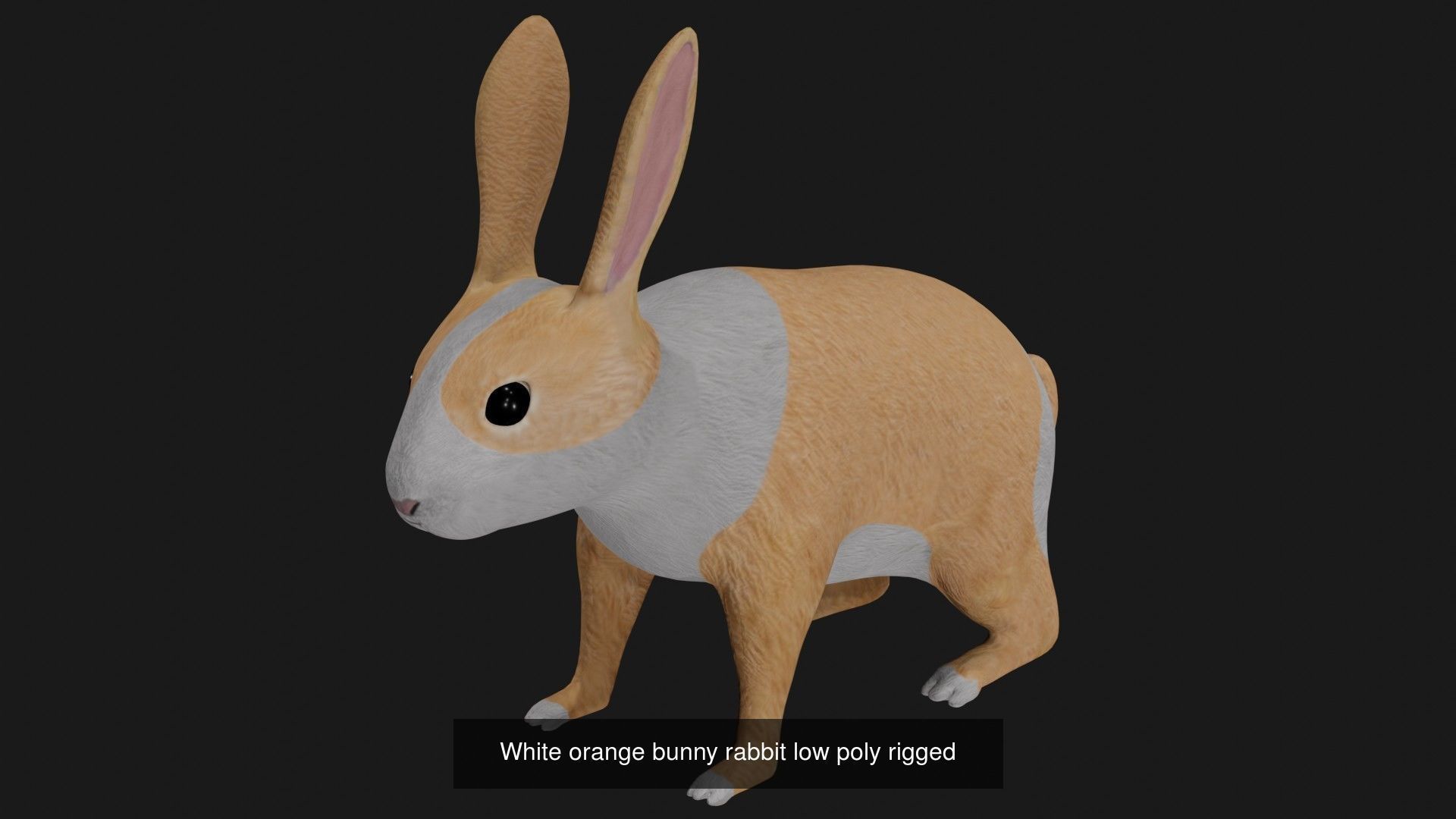Rabbit collection of 7 low poly rigged rabbits hare and bunny _6