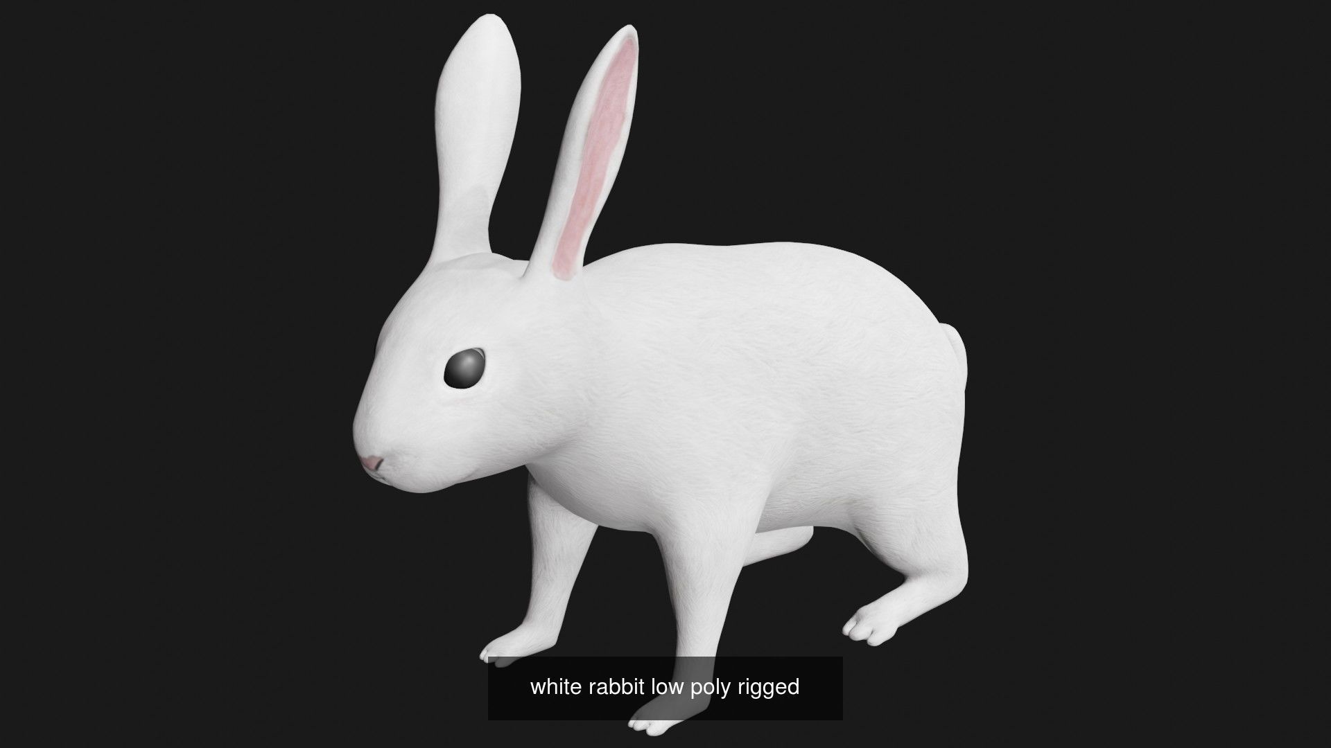 Rabbit collection of 7 low poly rigged rabbits hare and bunny _3