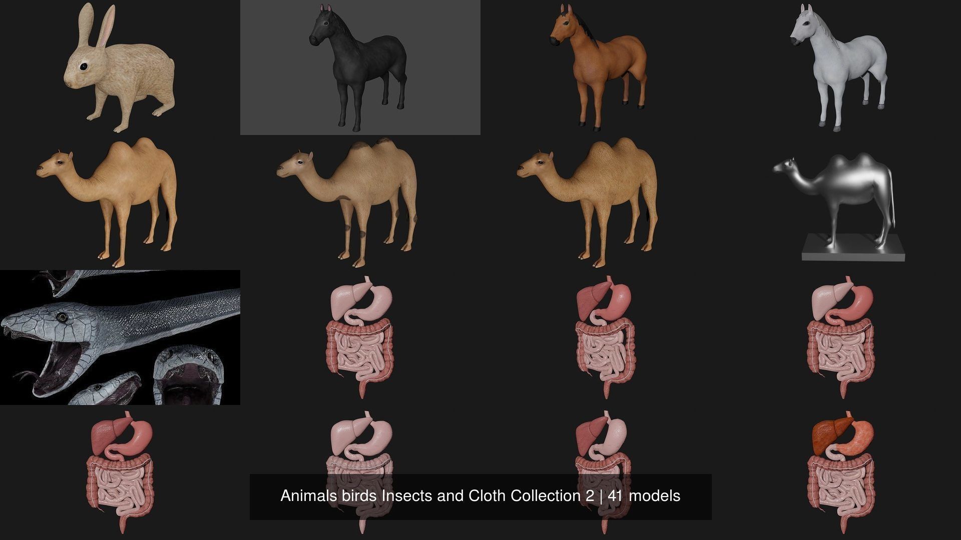 Animals birds Insects and Cloth Collection 2 _1