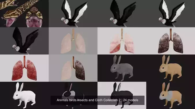 Animals birds Insects and Cloth Collection 2 