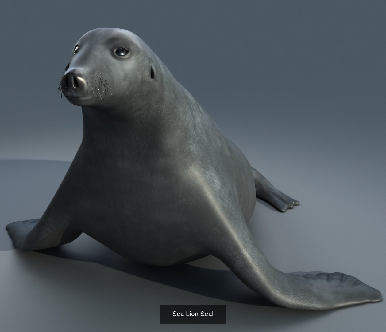 Animals birds Insects and Cloth Collection 2 _5