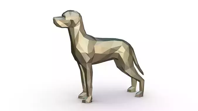 weimaraner low poly dog
