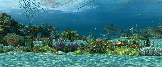  Ocean floor coral reefs Shoal of fish 3D model