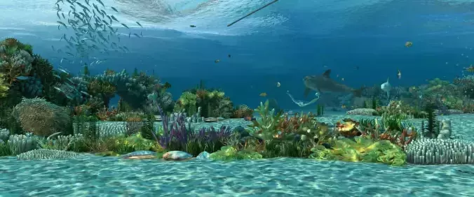 Ocean floor coral reefs Shoal of fish 3D model