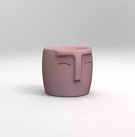 flowerpot face