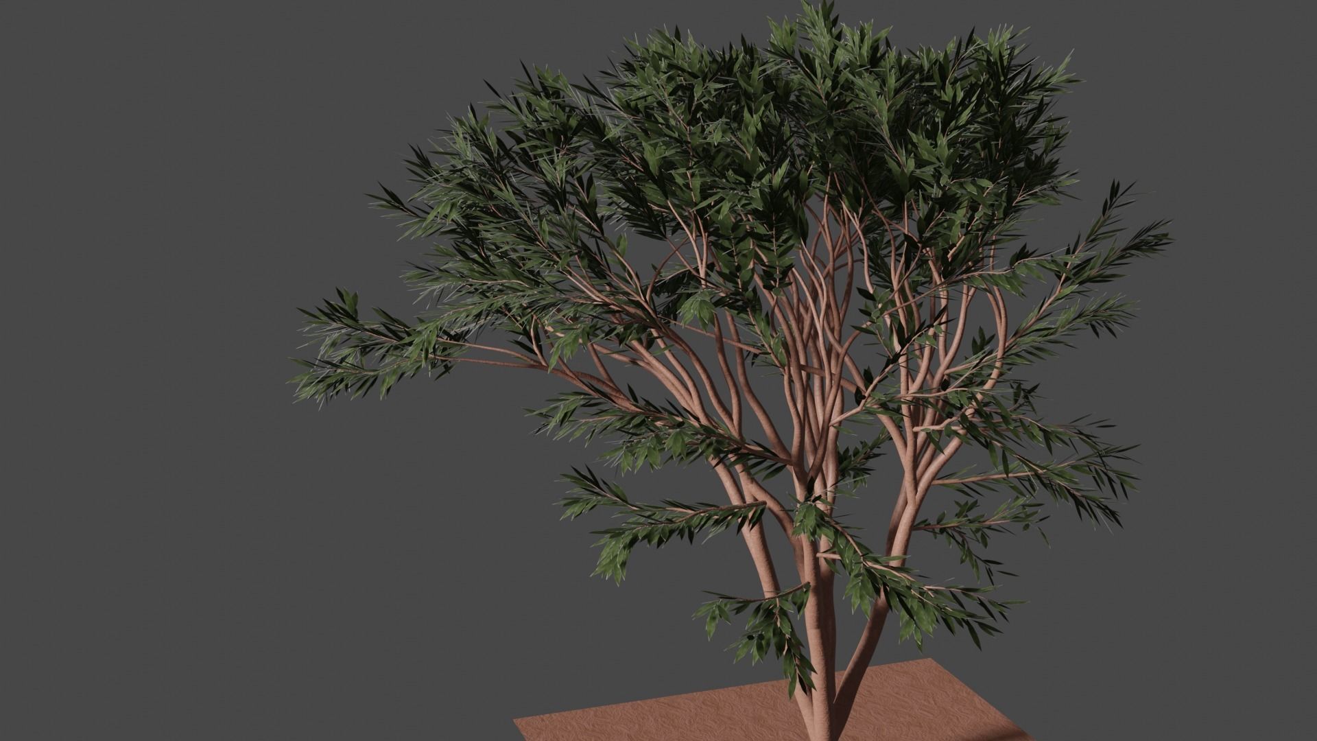 TREES leaf Free 3D model_11
