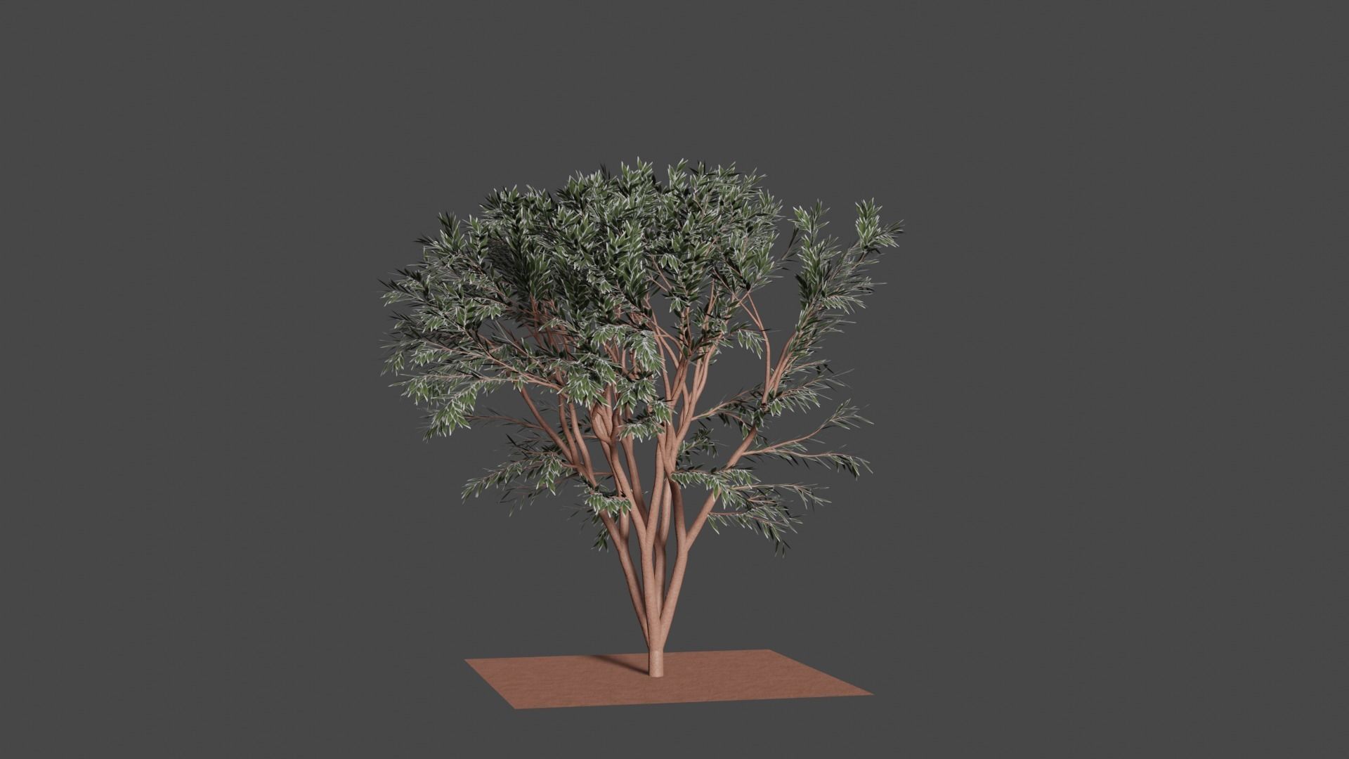 TREES leaf Free 3D model_15