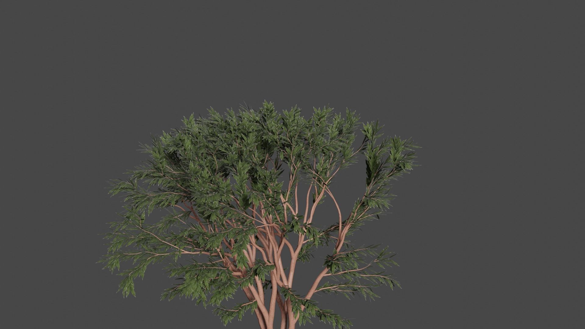 TREES leaf Free 3D model_12