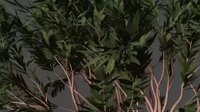 TREES leaf Free 3D model