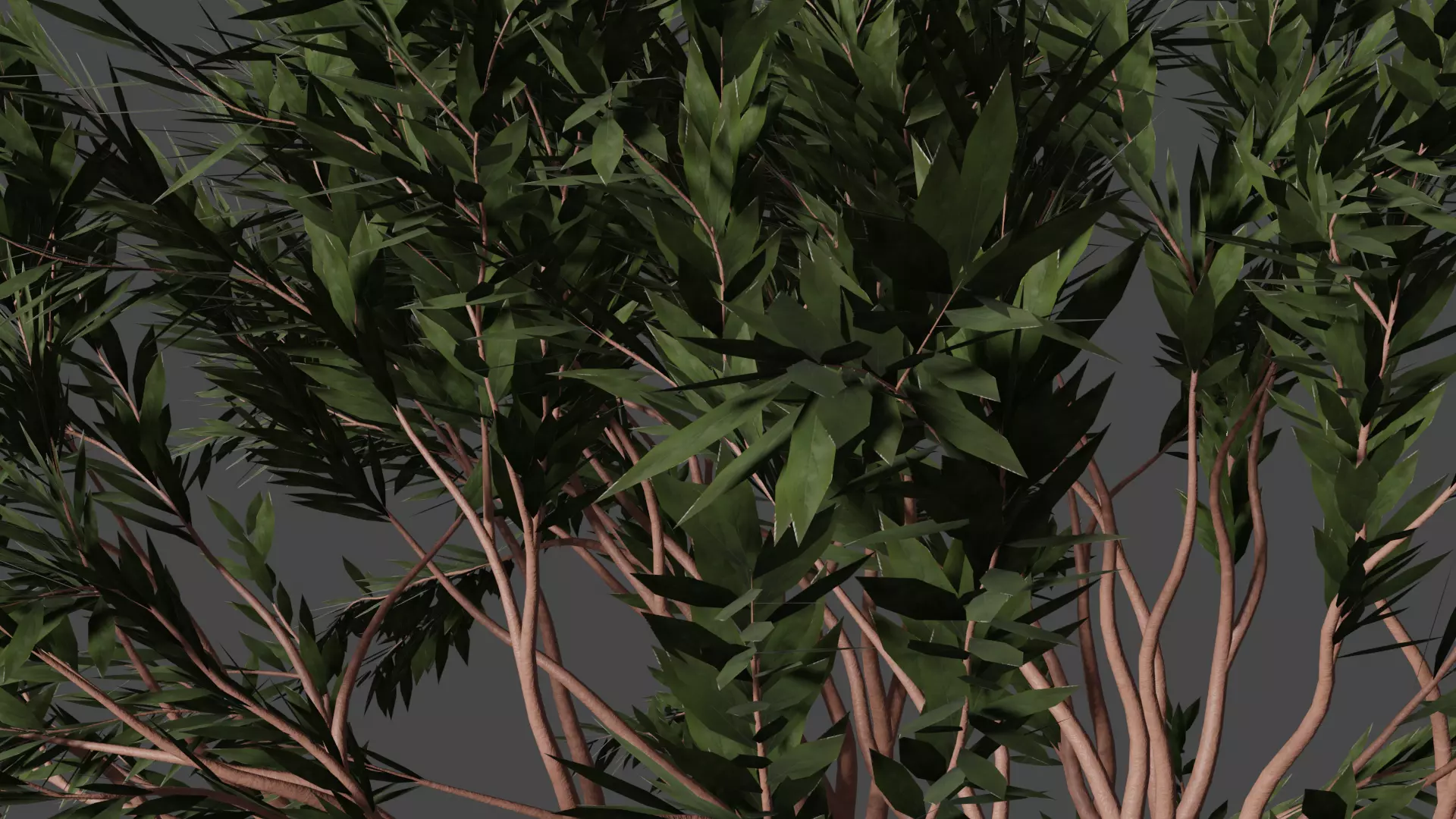 TREES leaf Free 3D model_0
