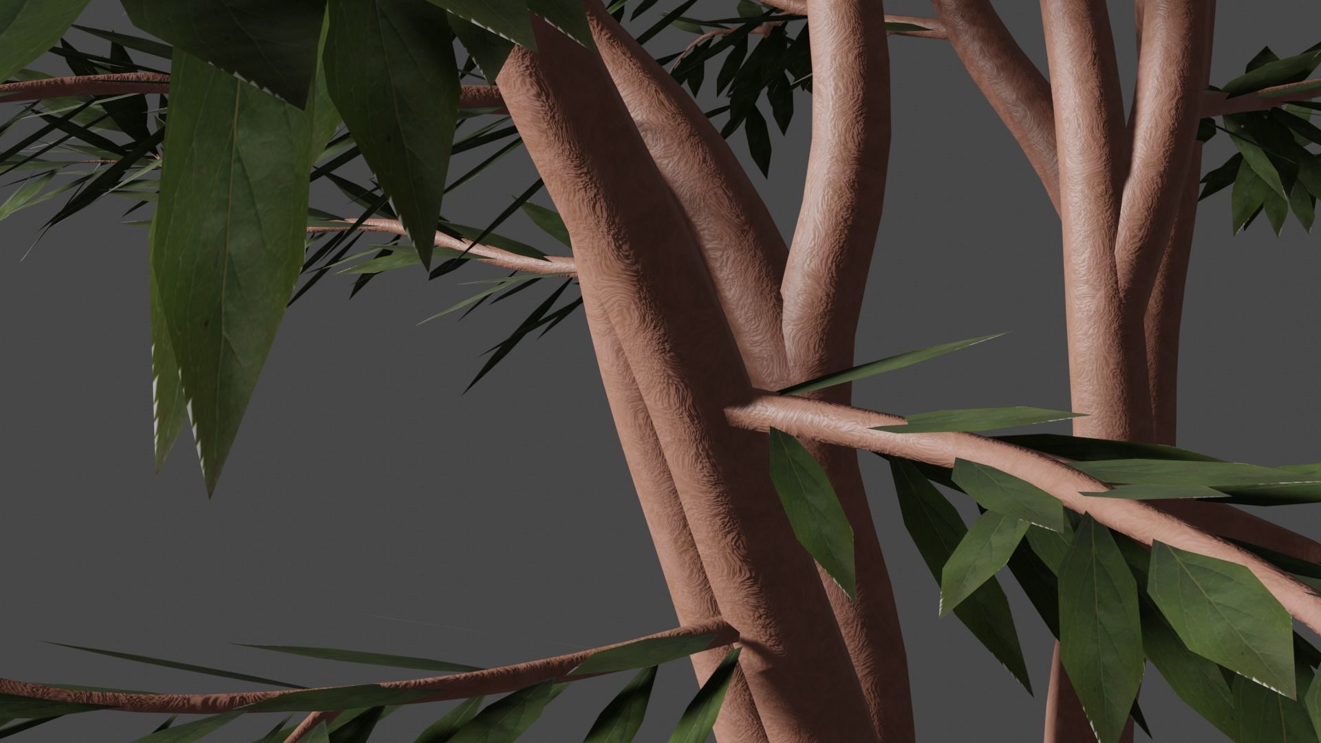TREES leaf Free 3D model_2