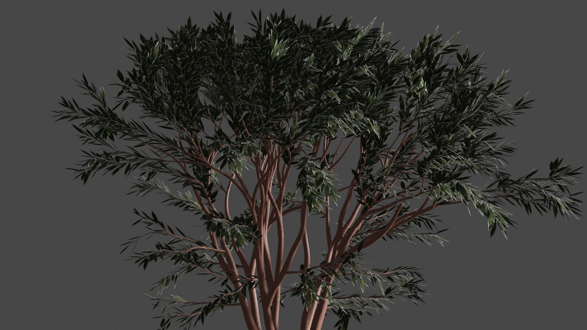 TREES leaf Free 3D model_14