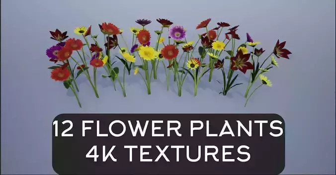 4K Lowpoly Flower Plants Collection 