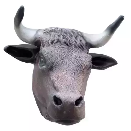 Decorative bull head on the wall