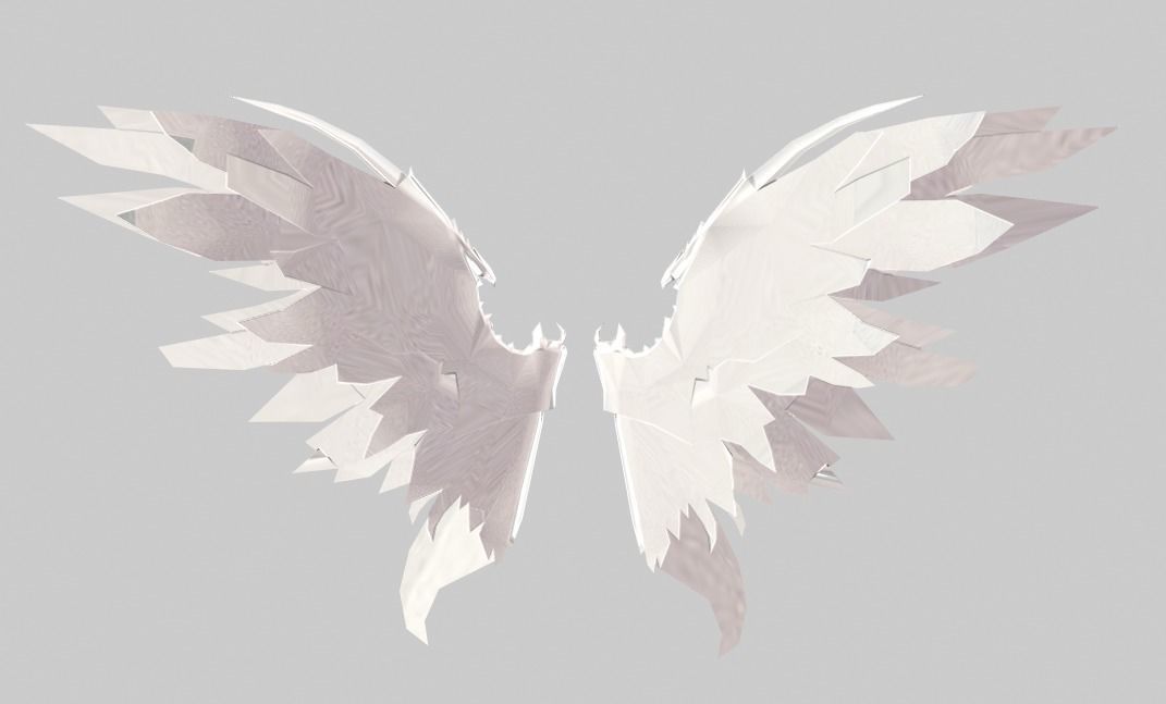 Angel Wing 3D model_1