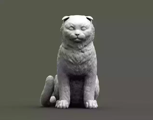 Scottish fold cat 3D print model