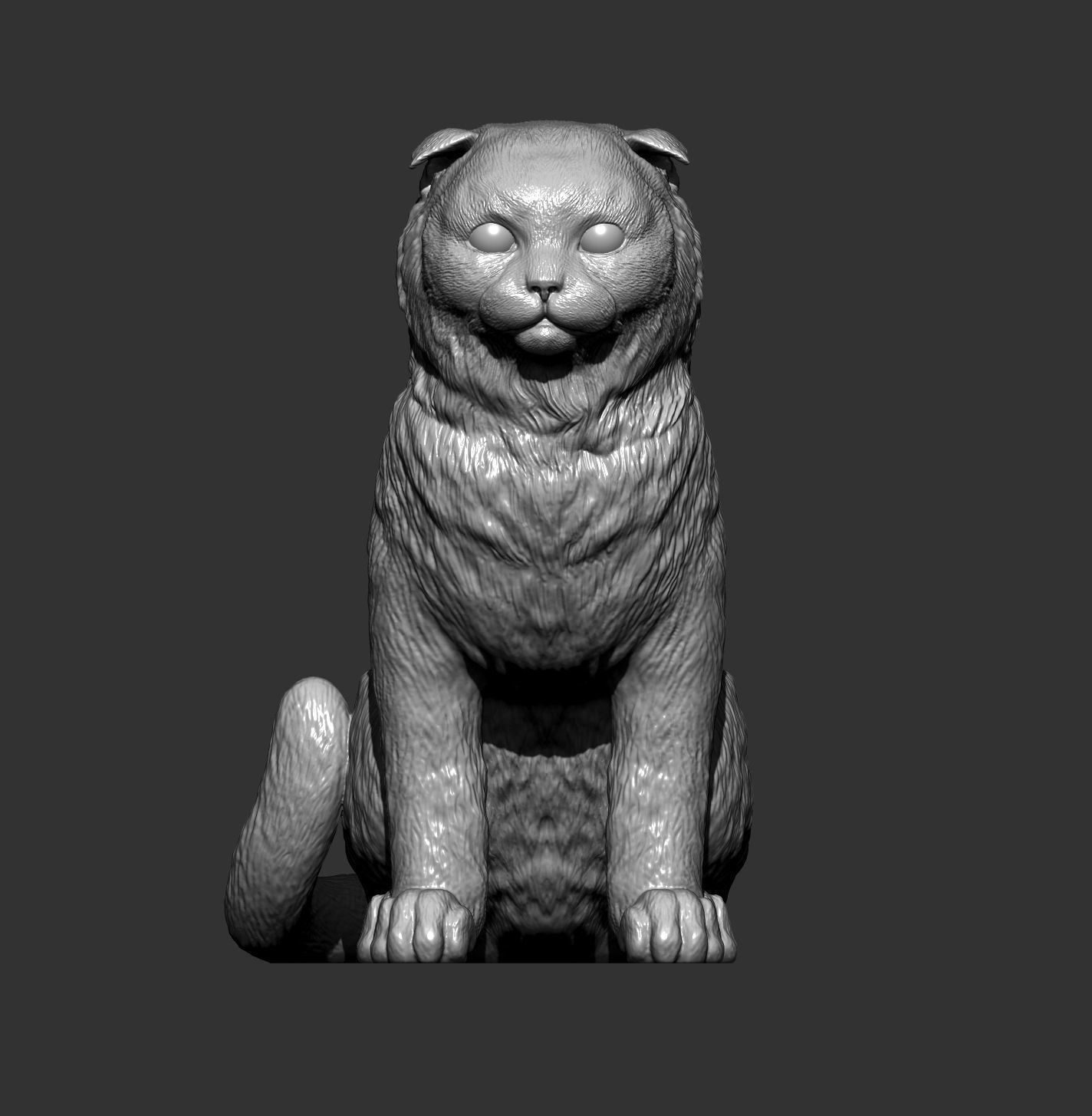 Scottish fold cat 3D print model_6