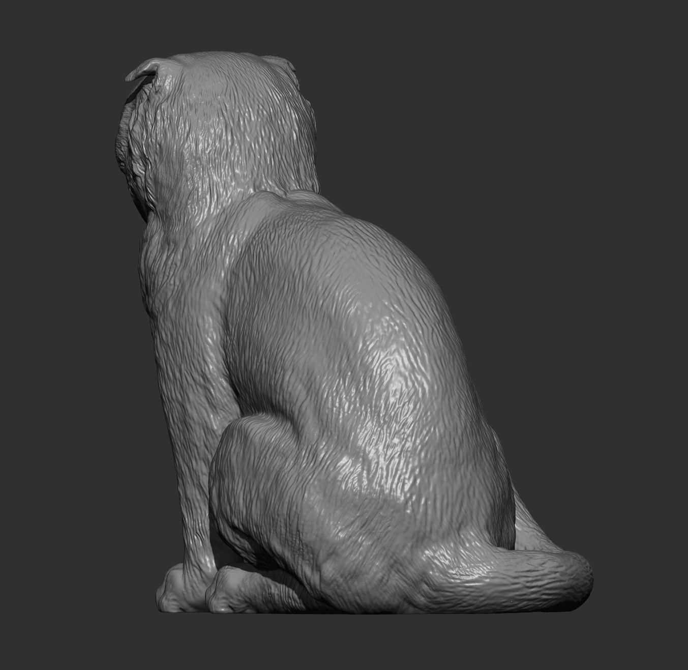 Scottish fold cat 3D print model_4