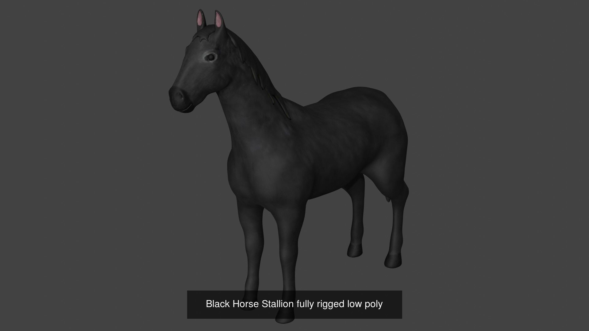 Horse Collection fully rigged low poly _1