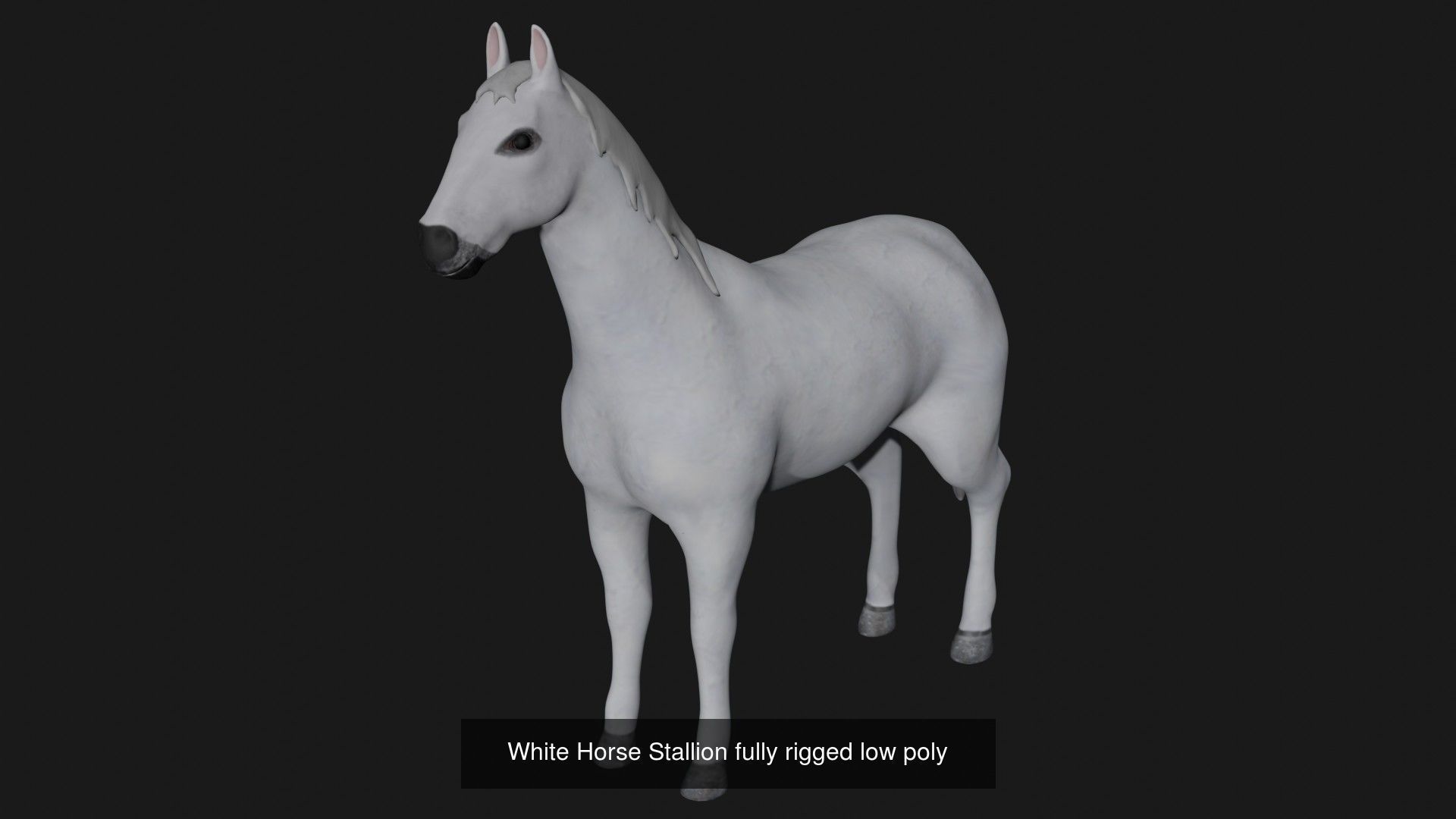 Horse Collection fully rigged low poly _3