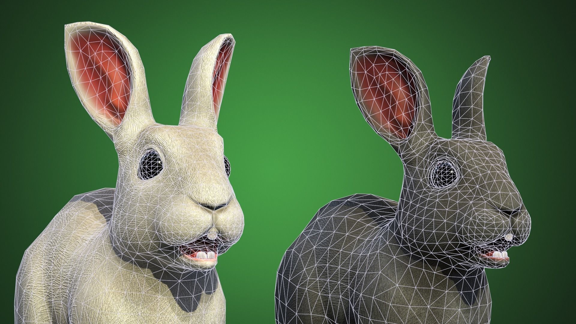 Bunny Rigged Animated Game-ready Low-poly 3D model_10