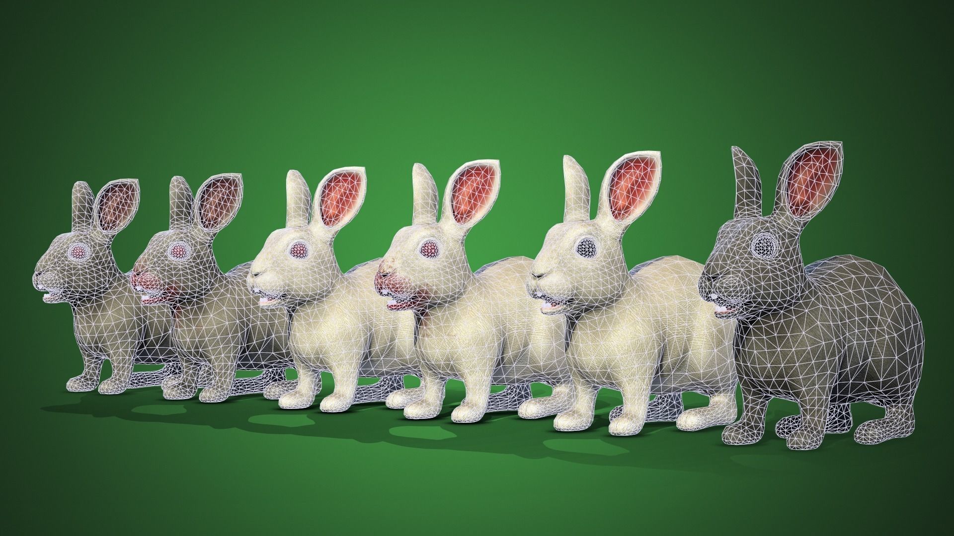 Bunny Rigged Animated Game-ready Low-poly 3D model_2
